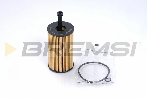 Oil Filter FL0010