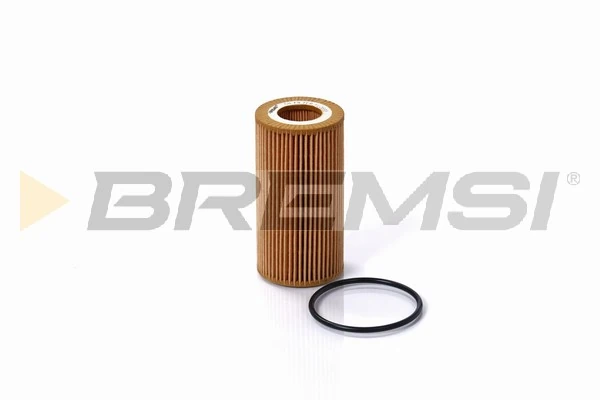 Oil Filter FL0698