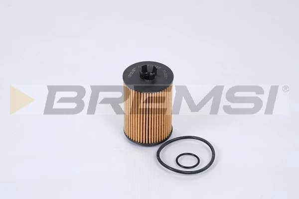 Oil Filter FL0267