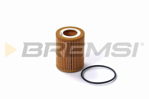 Oil Filter FL0697