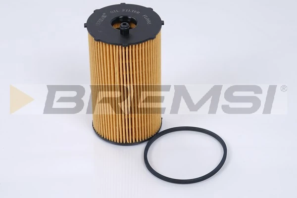 Oil Filter FL0685