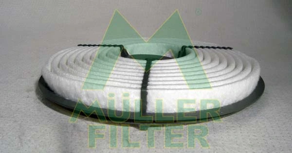 Air Filter PA3300