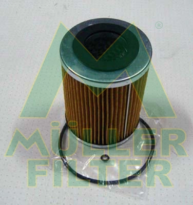 Oil Filter FOP202