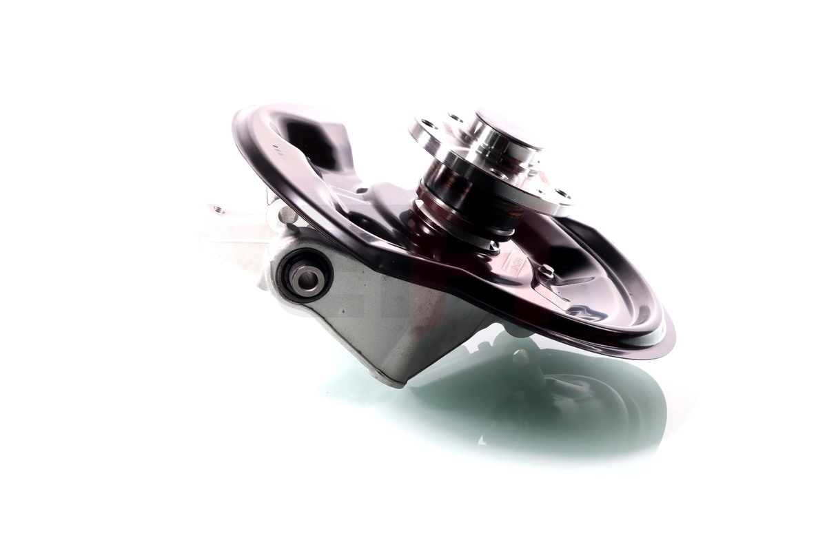 Steering Knuckle, wheel suspension Complete Steering Knuckle GH-289907V