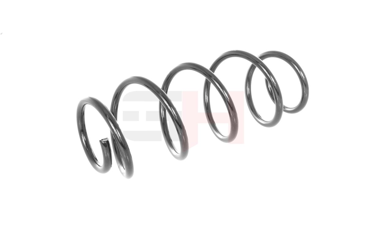 Suspension Spring GH-204306