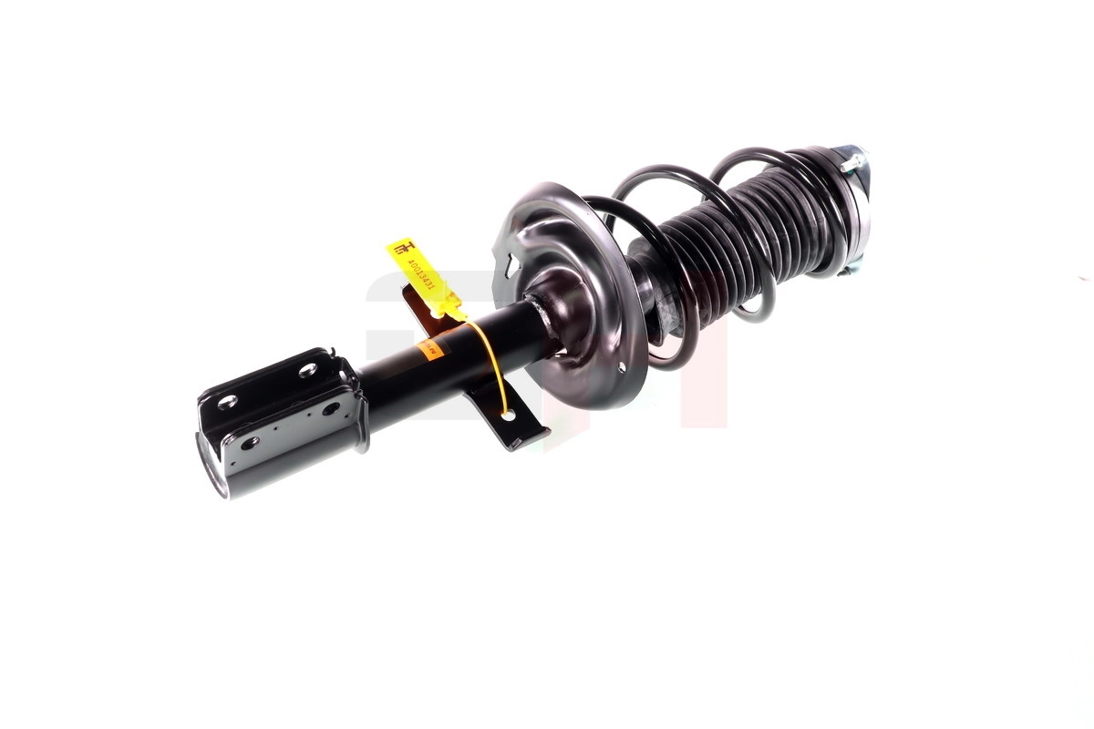 Suspension Strut Quick-Strut GH-353983C02