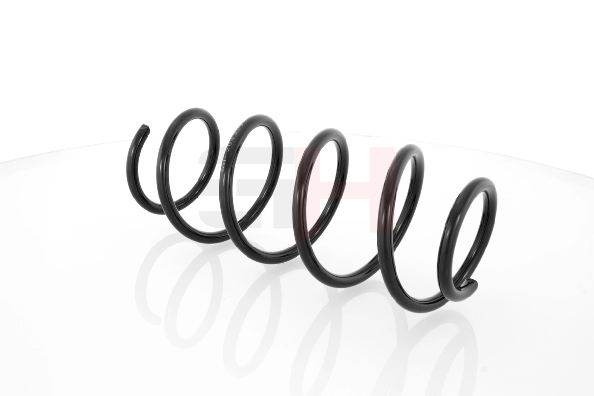 Suspension Spring GH-204305