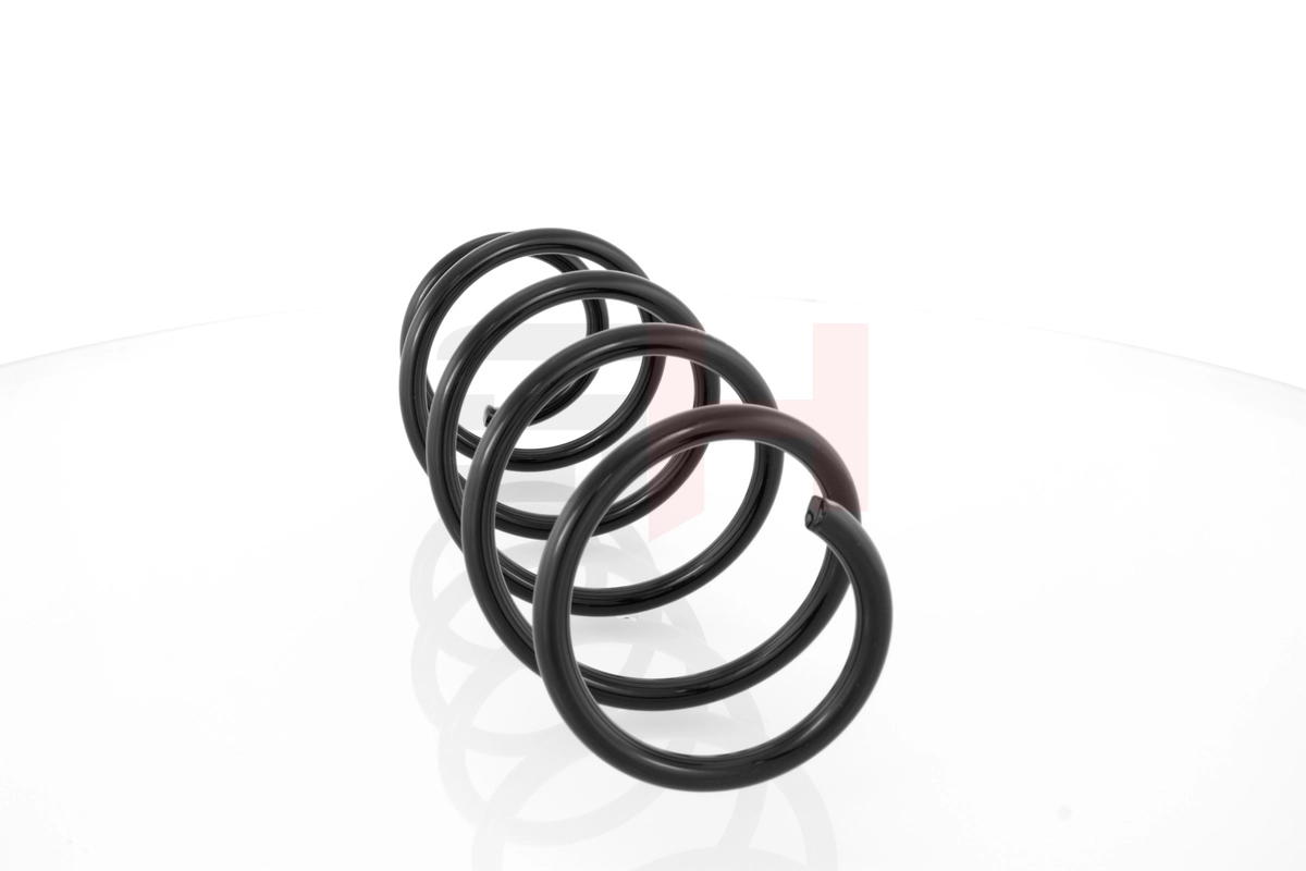 Suspension Spring GH-204305