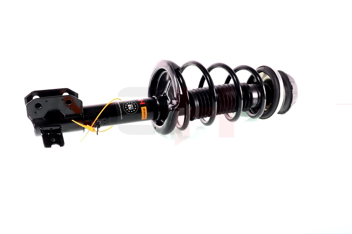 Suspension Strut Quick-Strut GH-355204C01