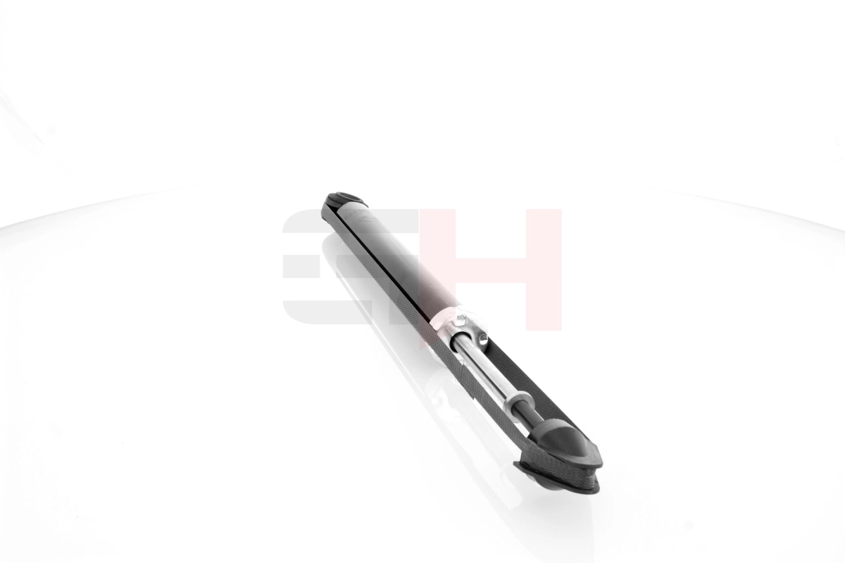Shock Absorber GH-335252