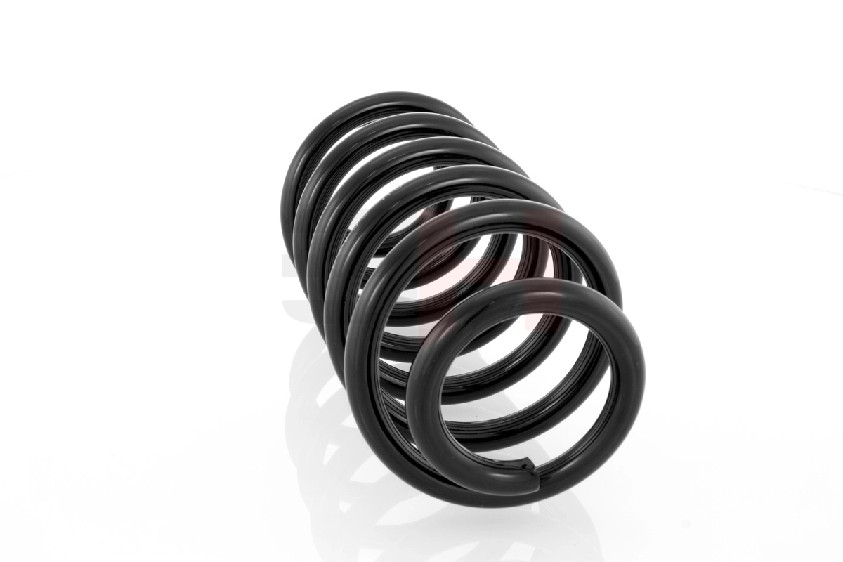 Pegas suspensi GH-204723