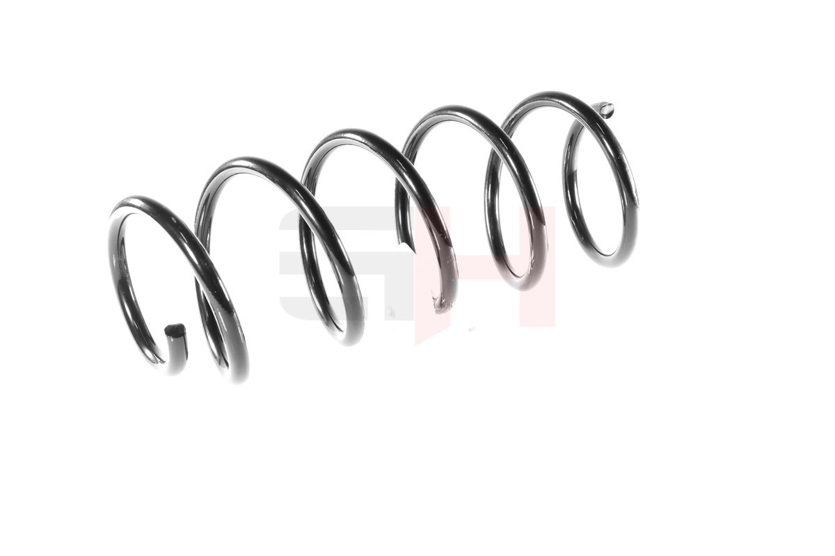 Suspension Spring GH-202360