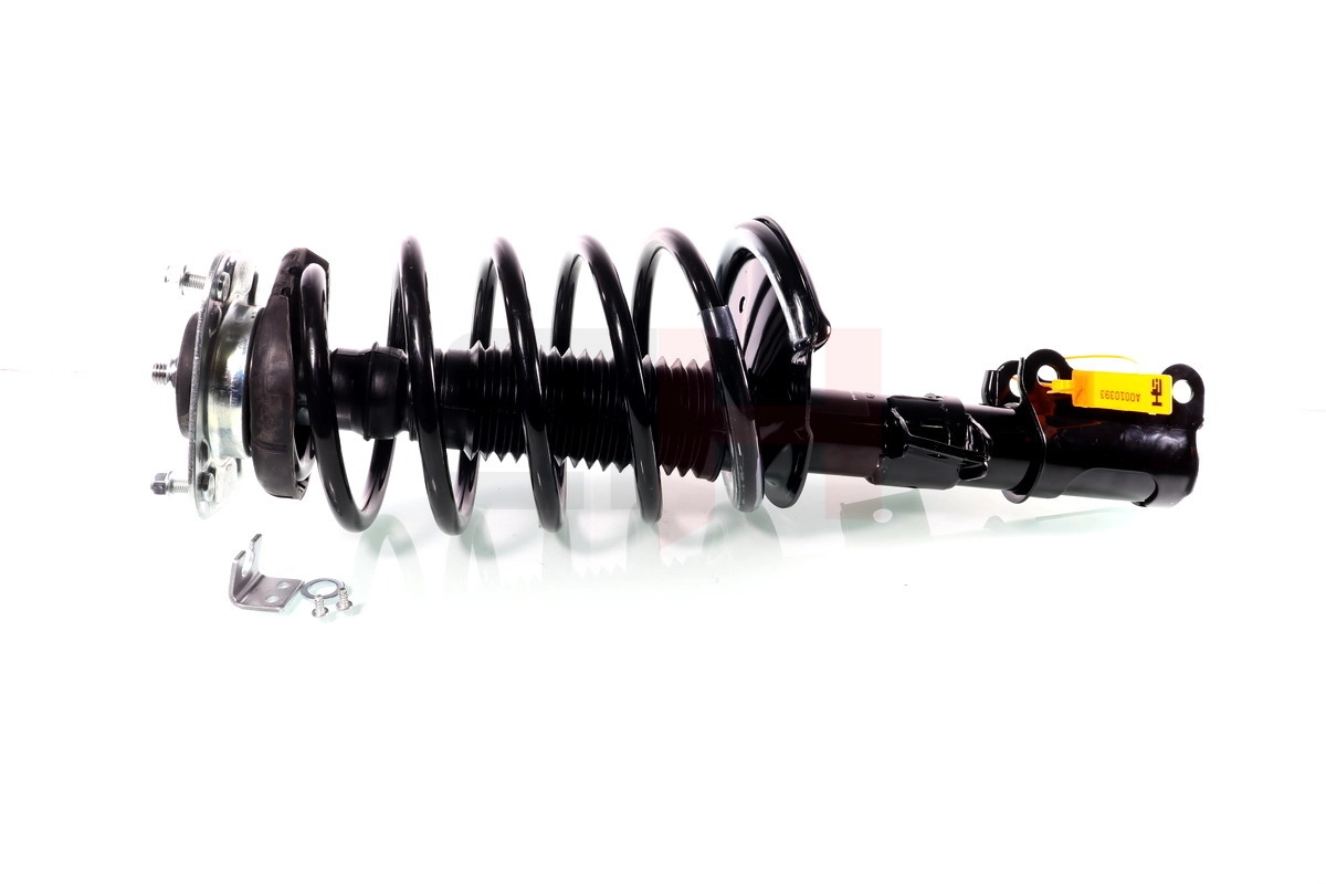 Suspension Strut Quick-Strut GH-354811C02