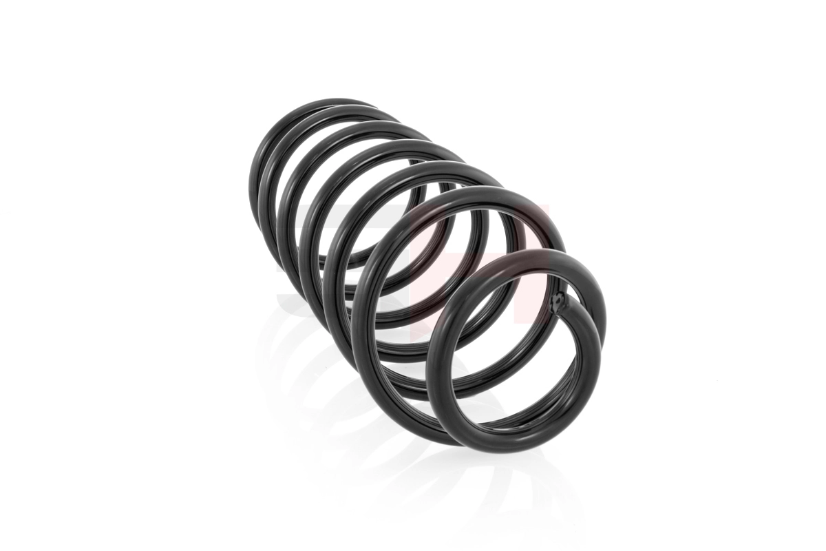 Suspension Spring GH-204303