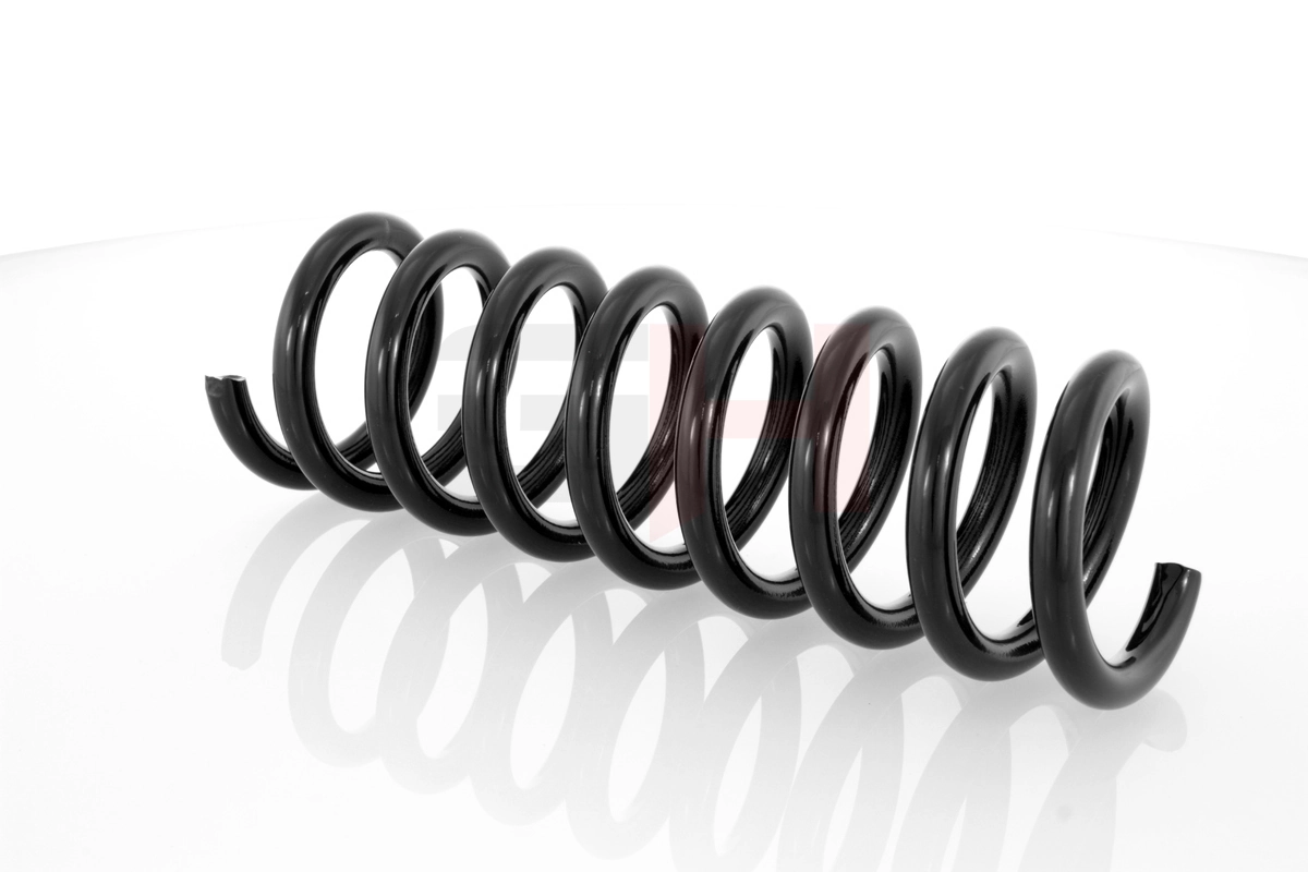 Suspension Spring GH-223307