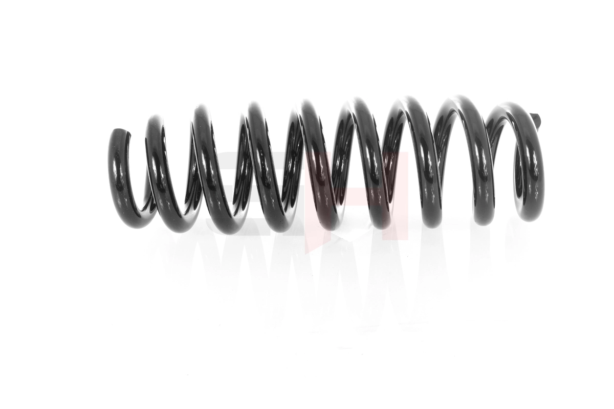 Suspension Spring GH-221591