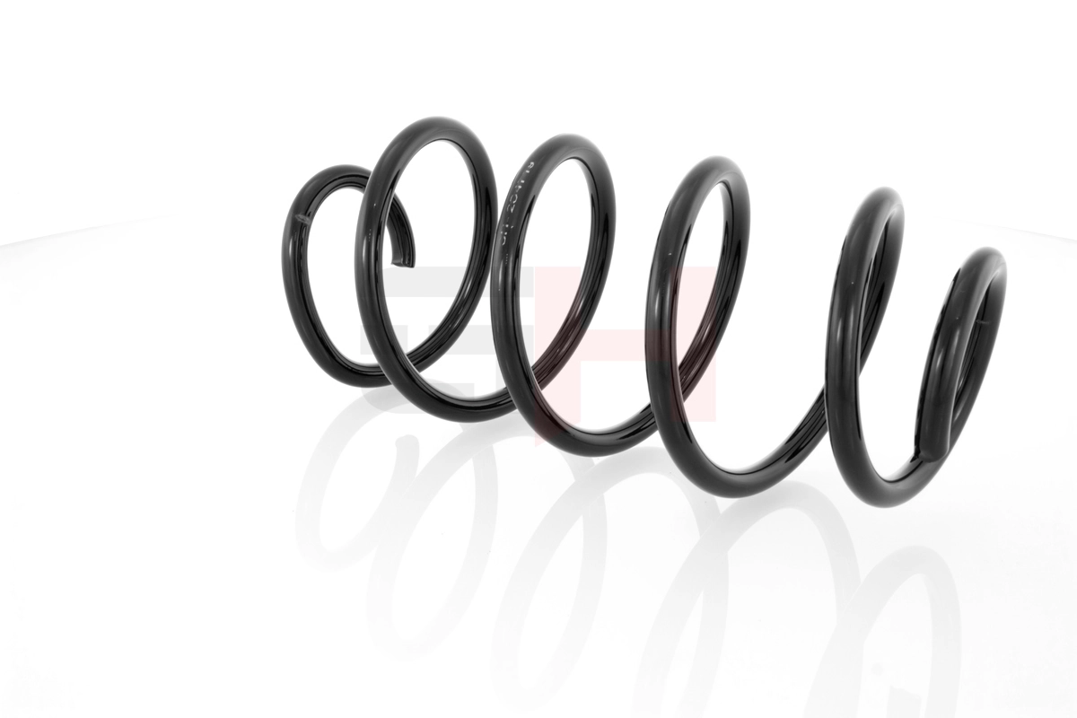 Suspension Spring GH-204719