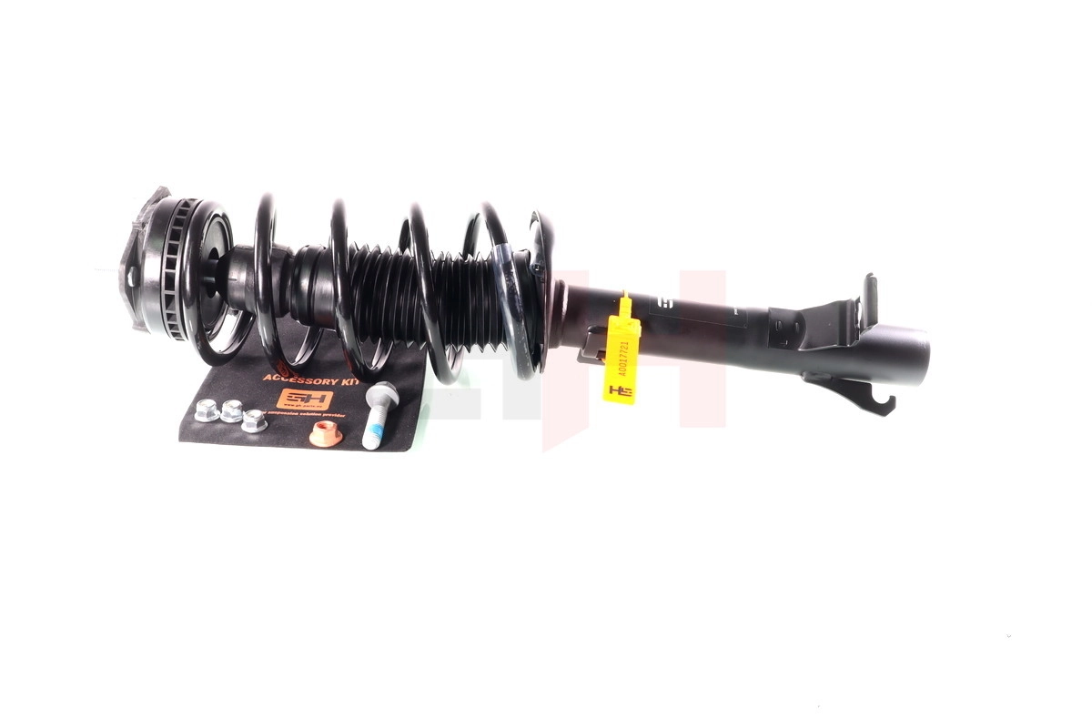 Suspension Strut Quick-Strut GH-352554C02