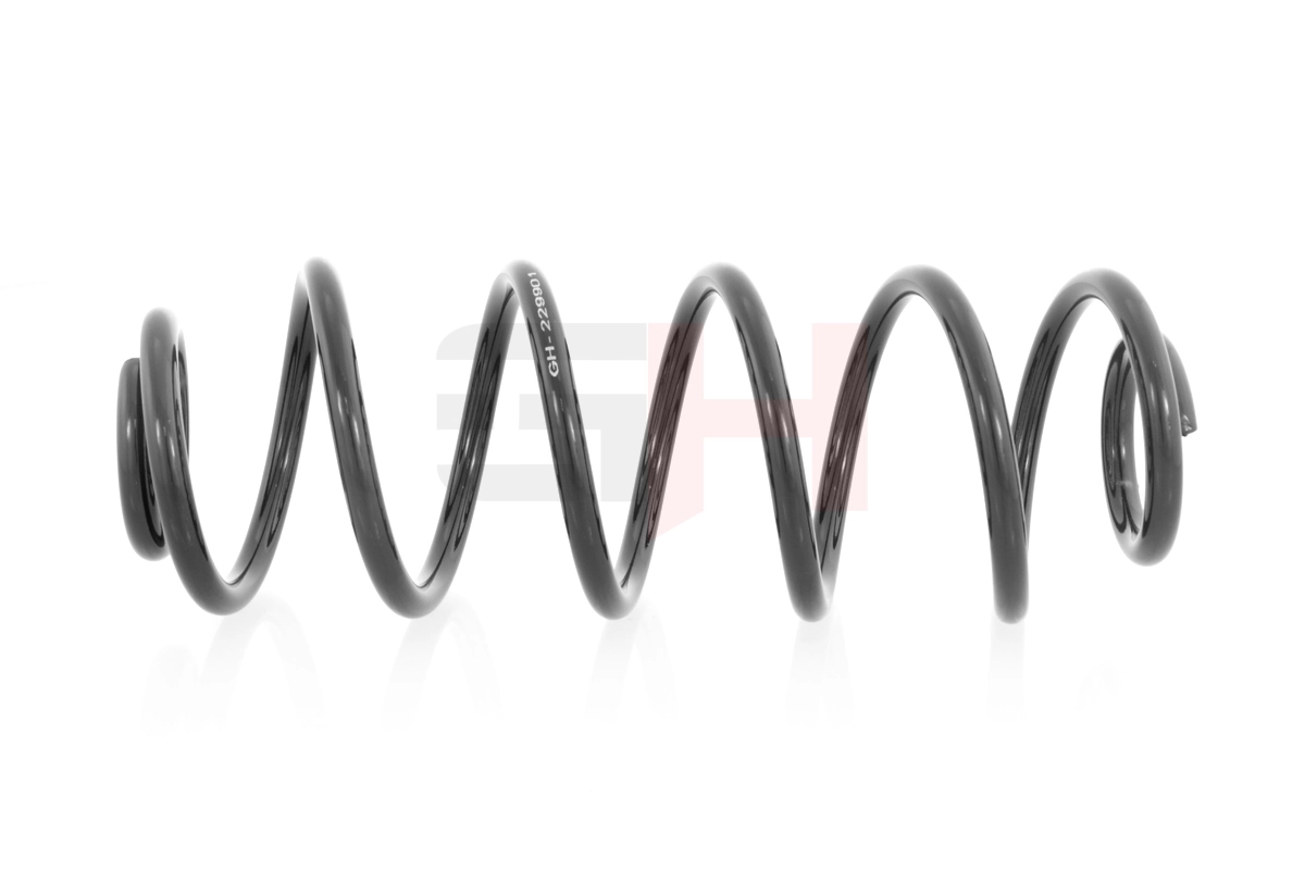 Suspension Spring GH-229901