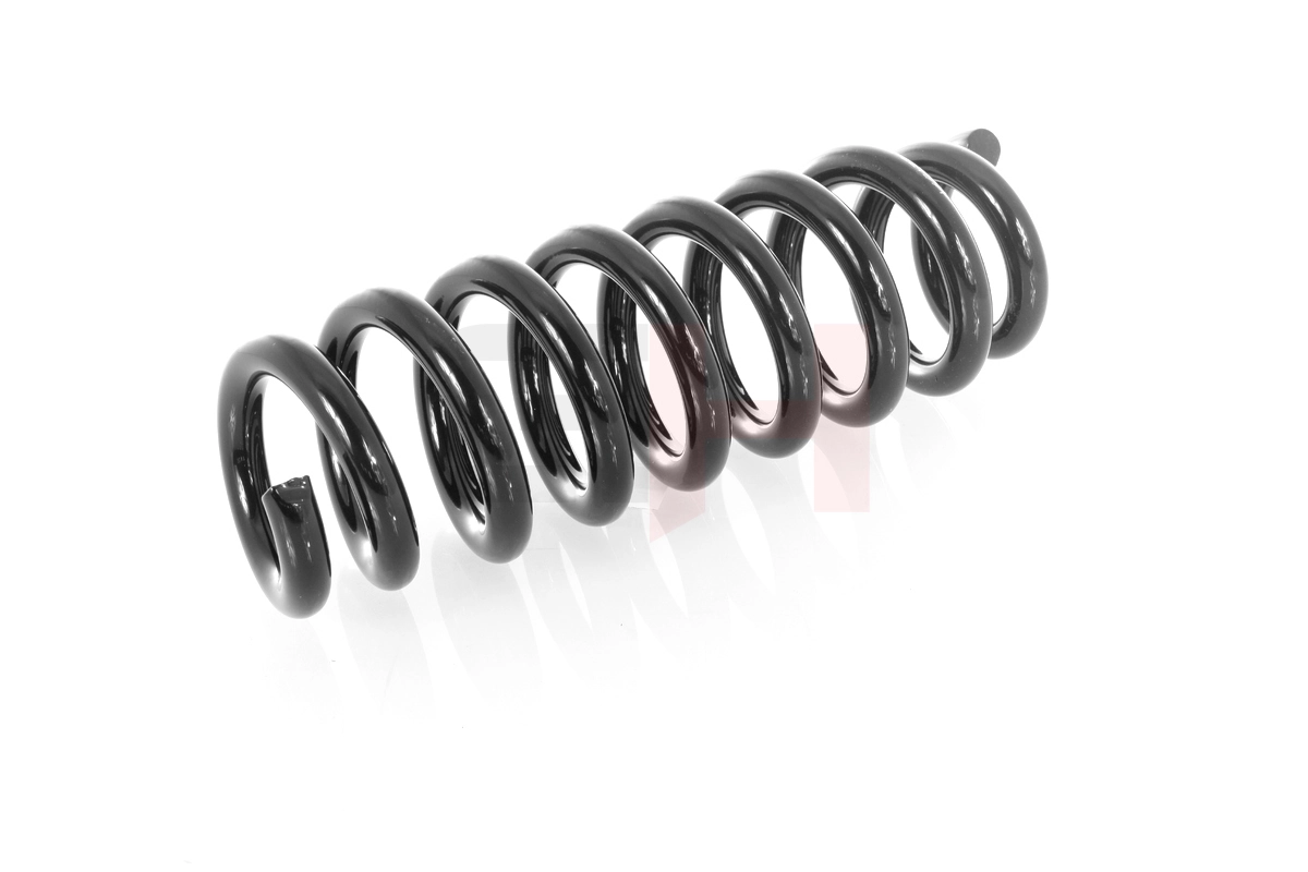 Suspension Spring GH-221591