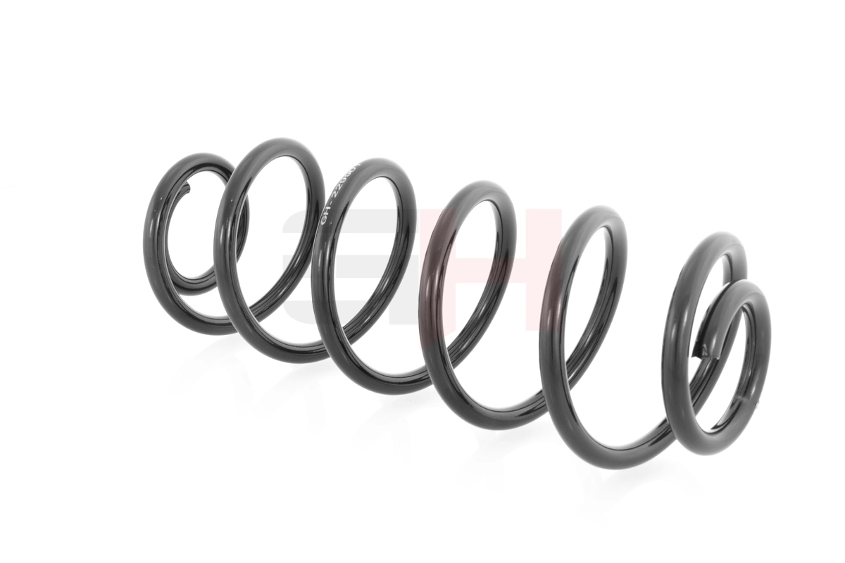 Suspension Spring GH-229901