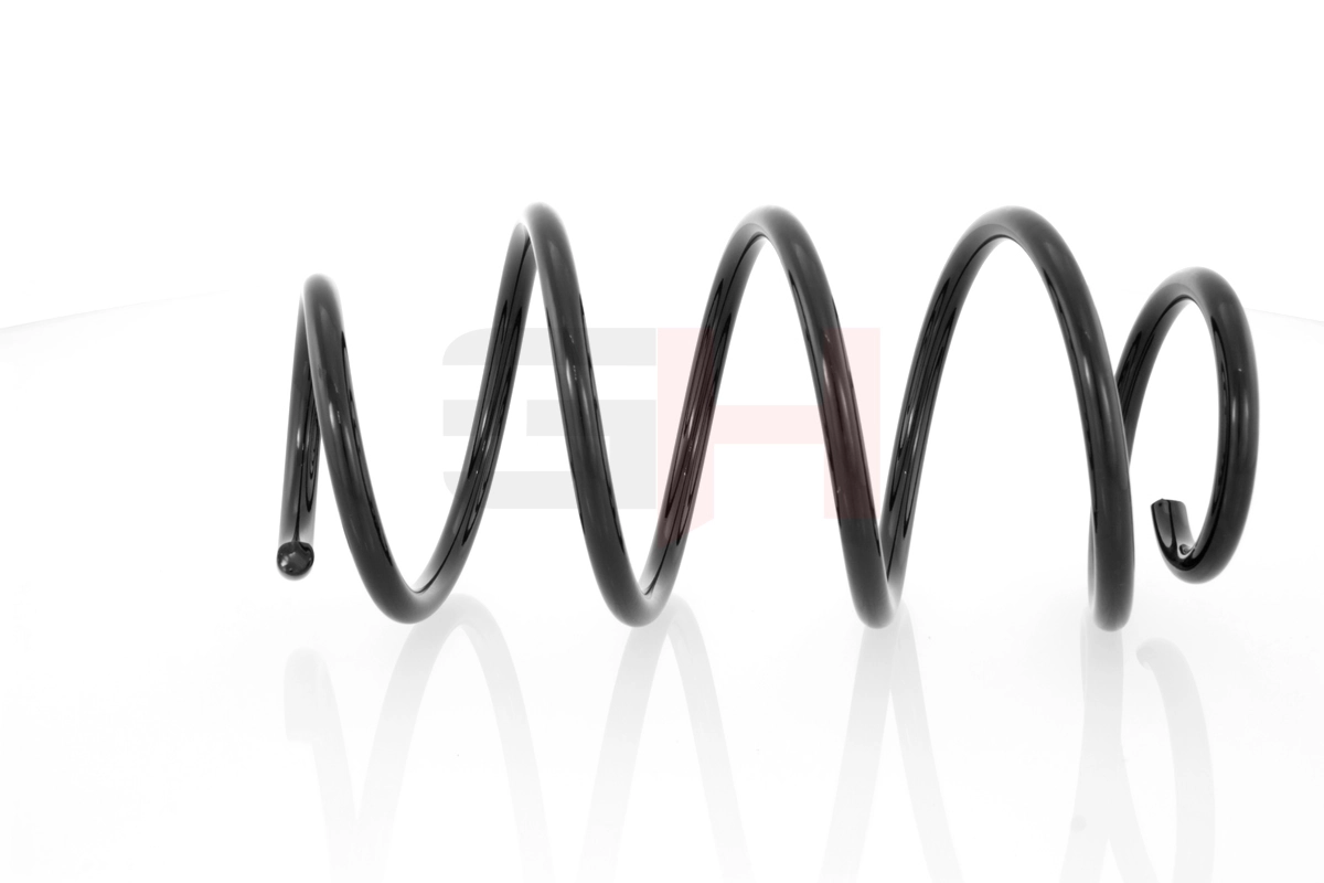 Suspension Spring GH-204720