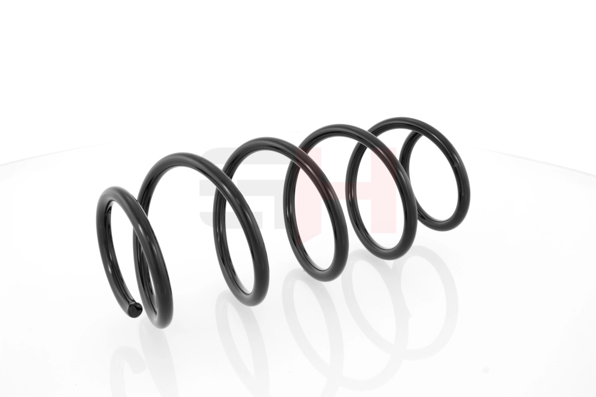 Suspension Spring GH-204305