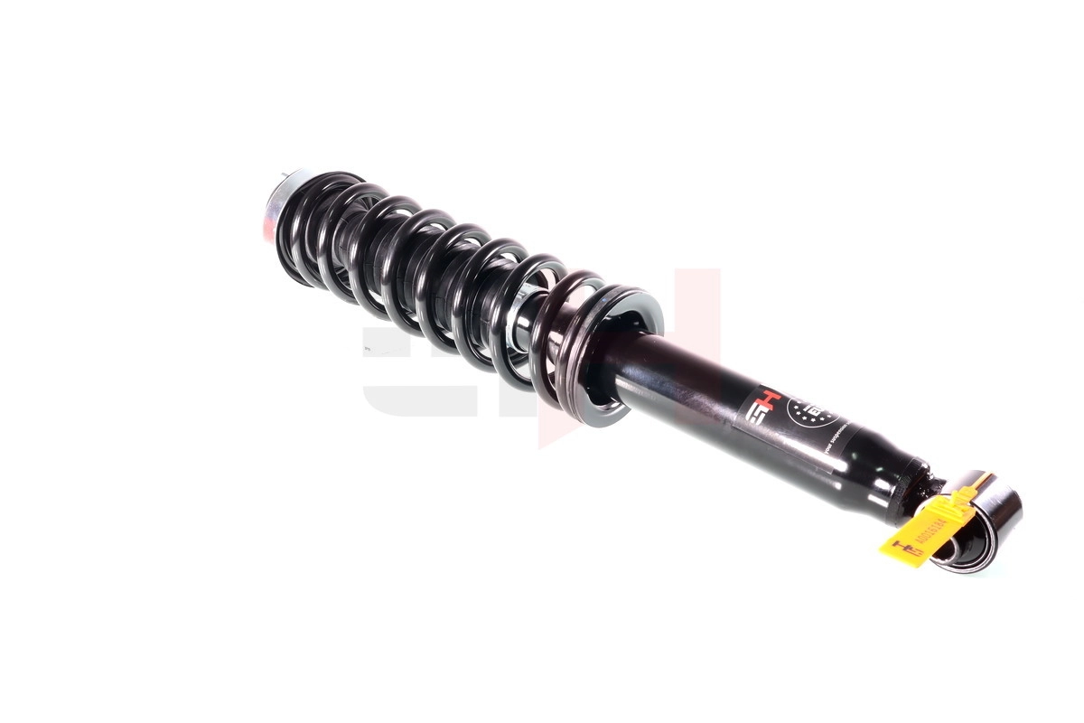 Suspension Strut Quick-Strut GH-331591C01