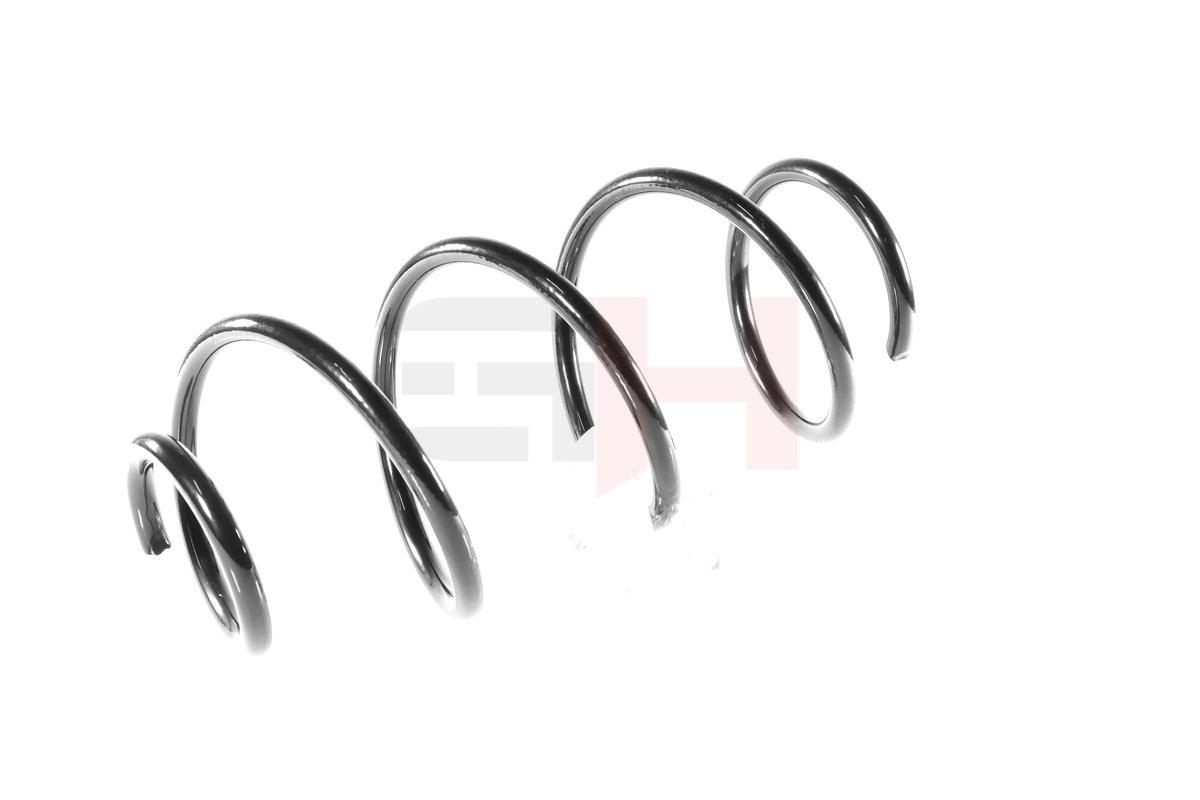Suspension Spring GH-209913