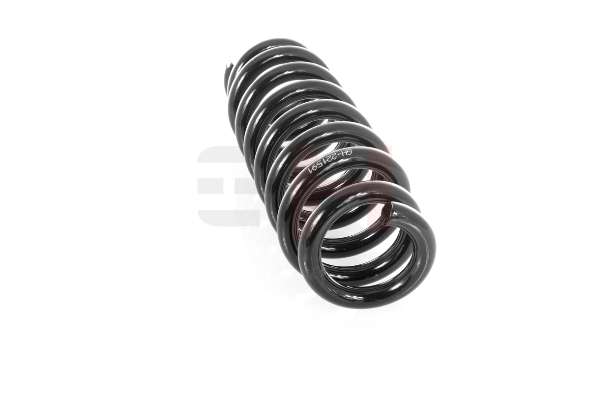 Suspension Spring GH-221591