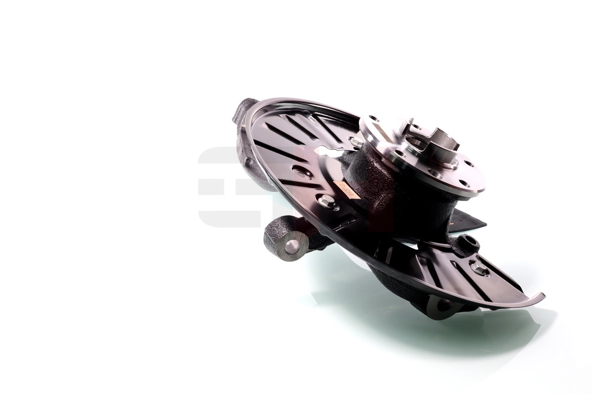 Steering Knuckle, wheel suspension Complete Steering Knuckle GH-289940H