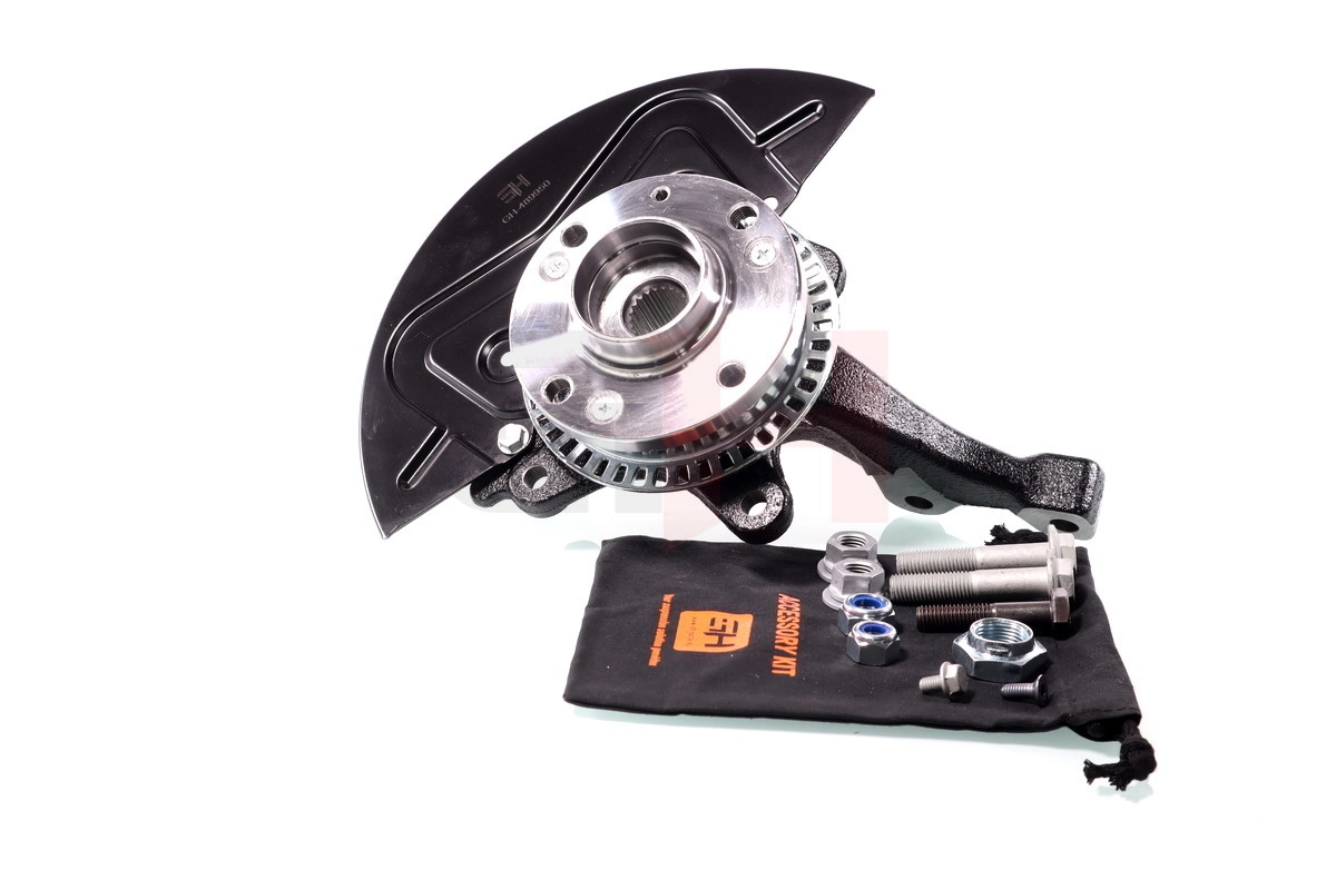 Steering Knuckle, wheel suspension Complete Steering Knuckle GH-289950H