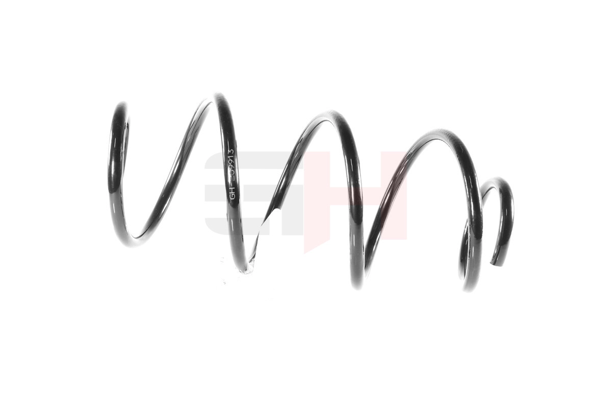 Suspension Spring GH-209913