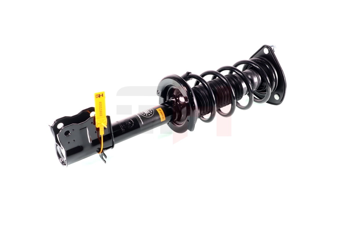 Suspension Strut Quick-Strut GH-353049C02