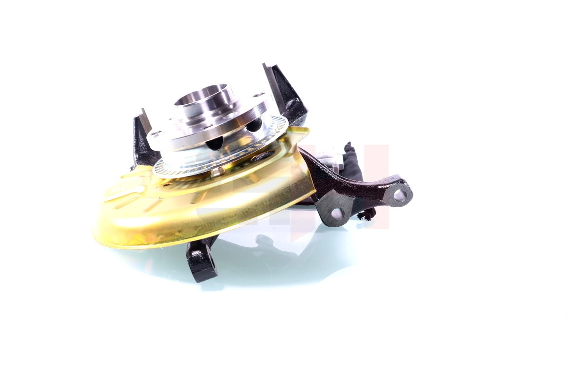 Steering Knuckle, wheel suspension Complete Steering Knuckle GH-289951V
