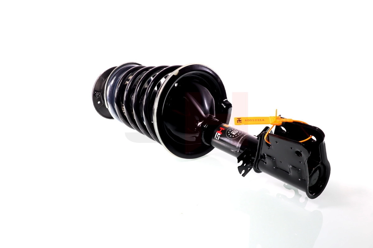 Suspension Strut Quick-Strut GH-352399C02