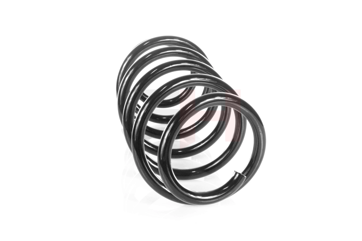 Suspension Spring GH-204734