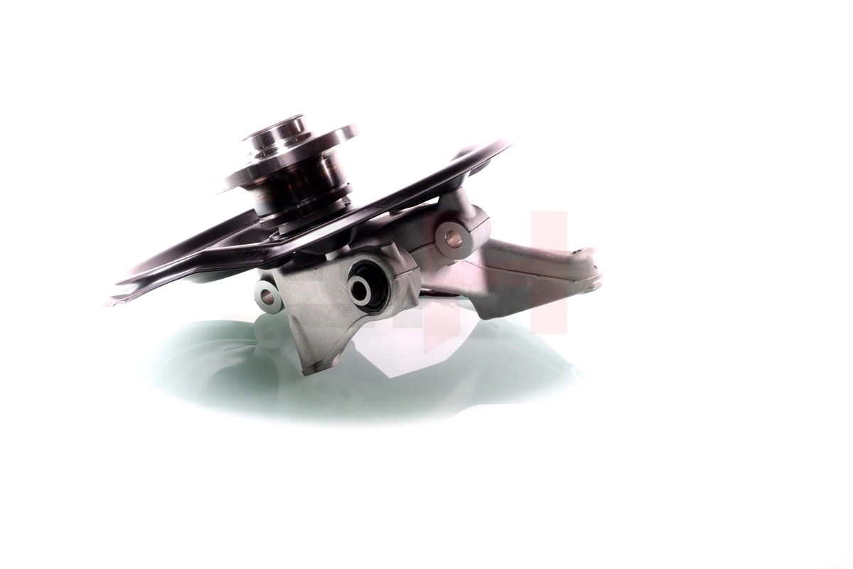 Steering Knuckle, wheel suspension Complete Steering Knuckle GH-289907H