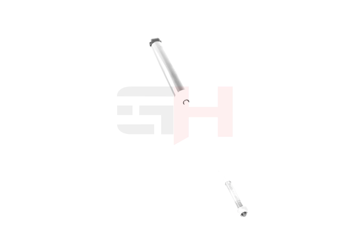 Shock Absorber GH-331908