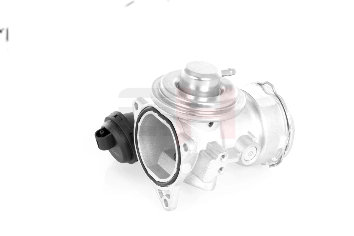 EGR Valve GH-734701