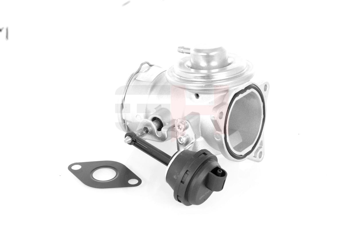EGR Valve GH-734701