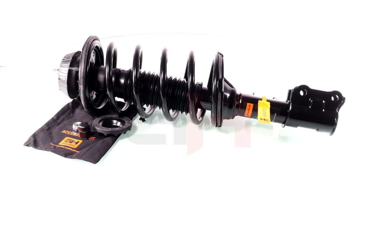 Suspension Strut Quick-Strut GH-353454C01