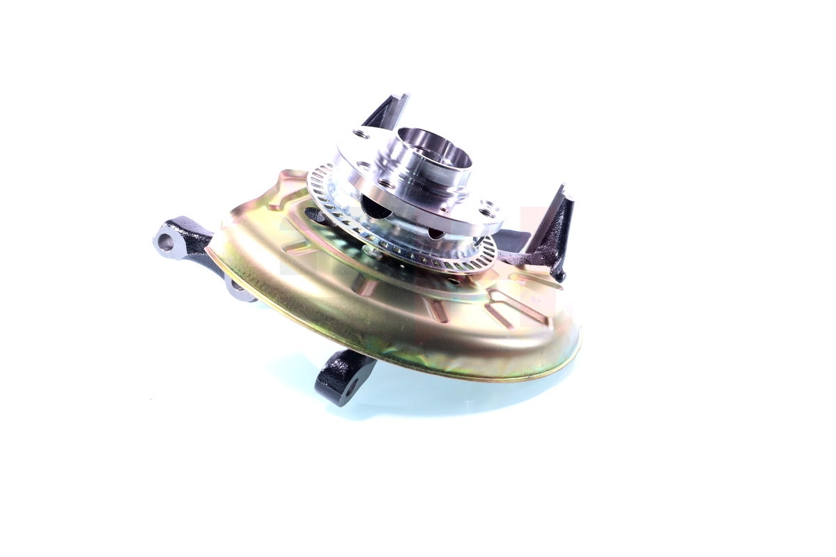 Steering Knuckle, wheel suspension Complete Steering Knuckle GH-289951H