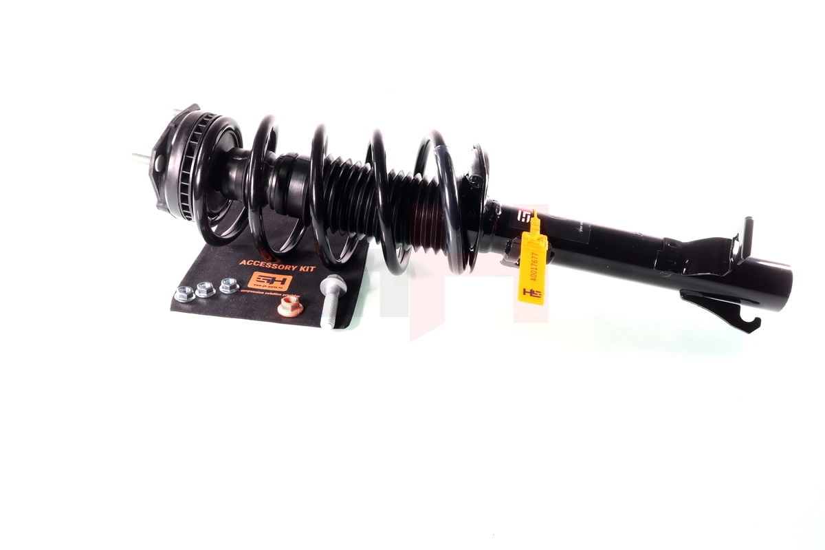 Suspension Strut Quick-Strut GH-352555C02