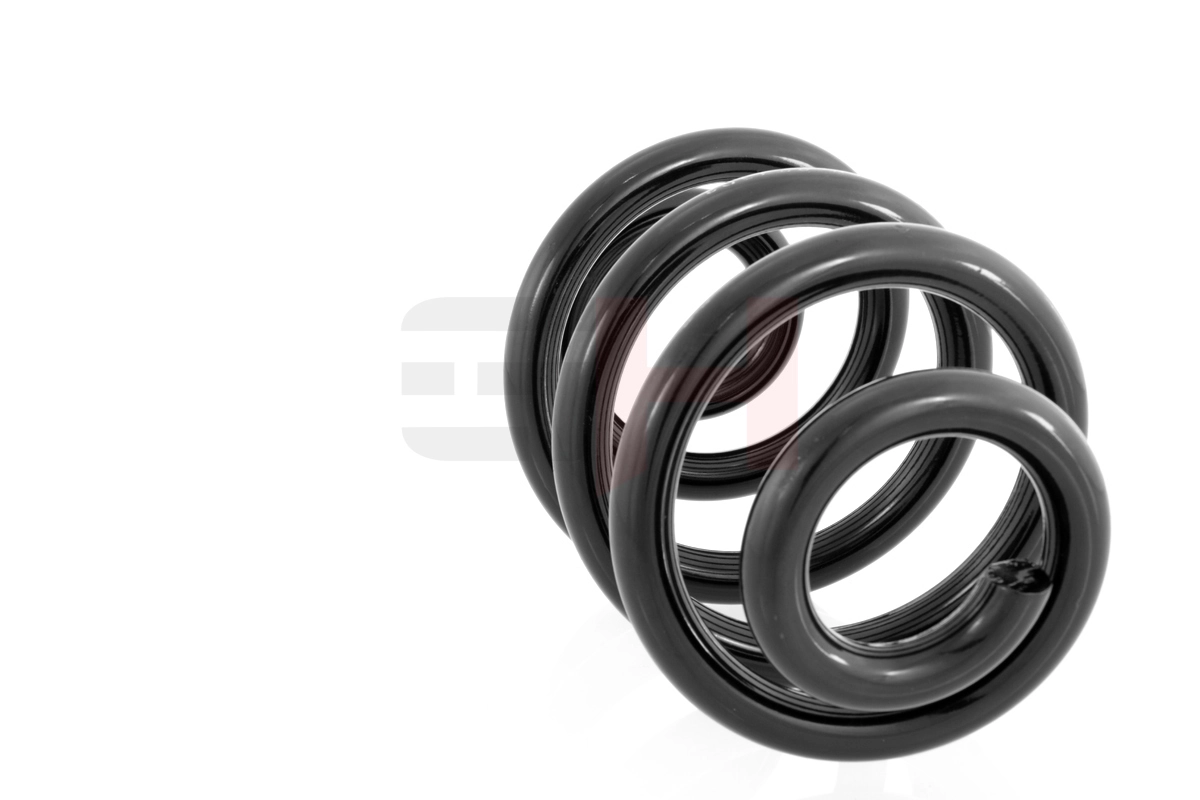 Suspension Spring GH-223303