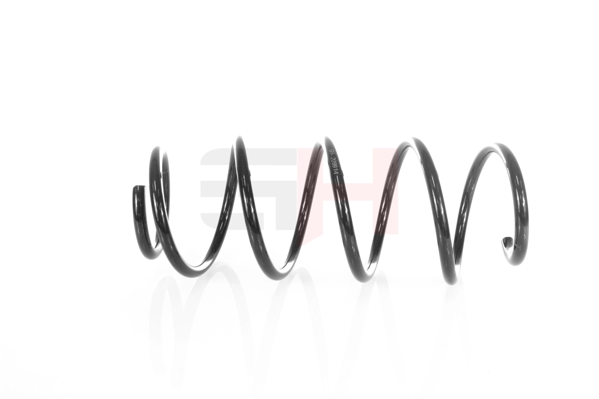 Suspension Spring GH-209914