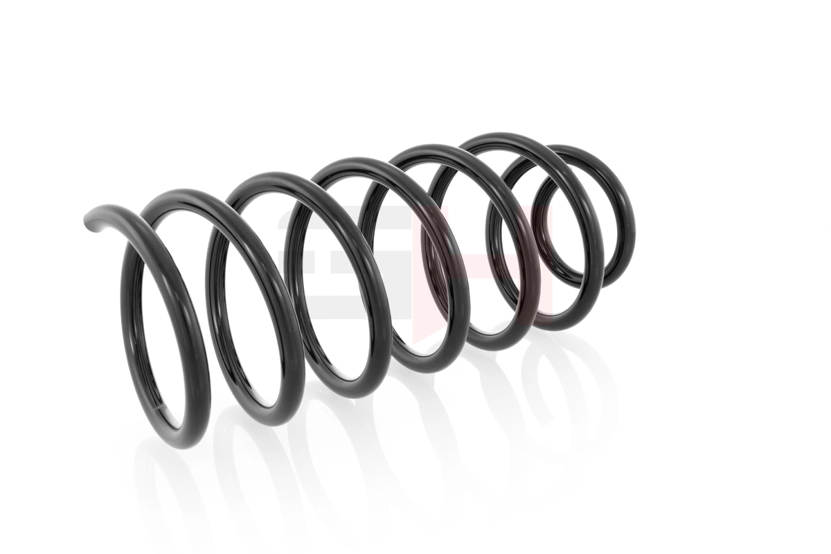 Suspension Spring GH-204303