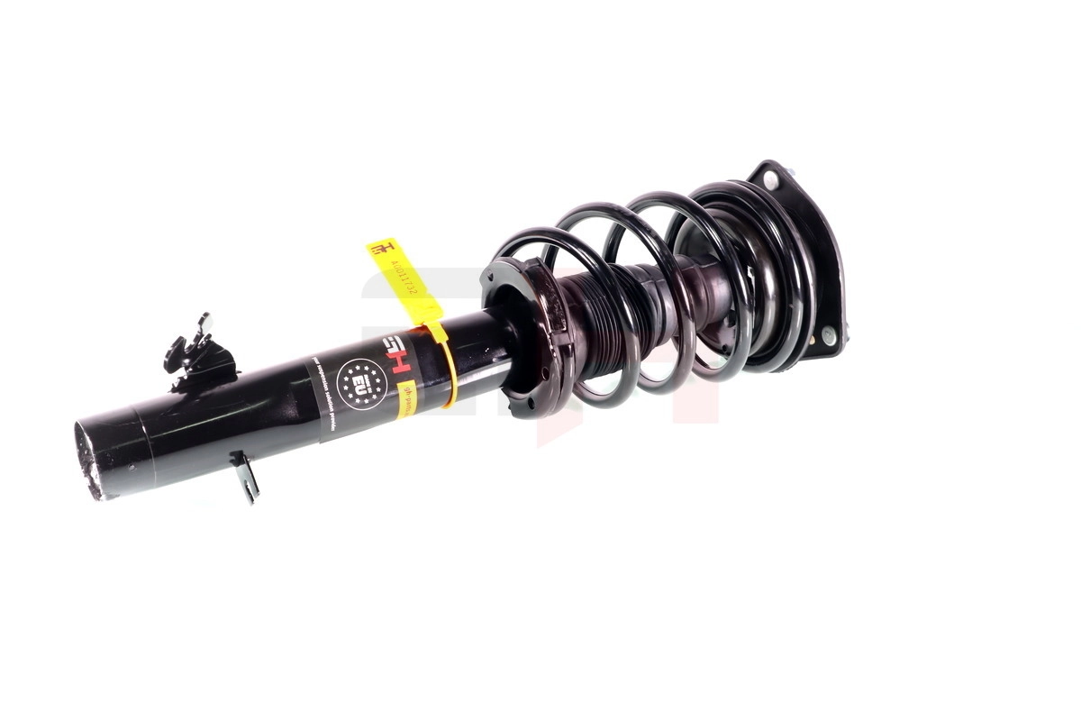 Suspension Strut Quick-Strut GH-351602C01