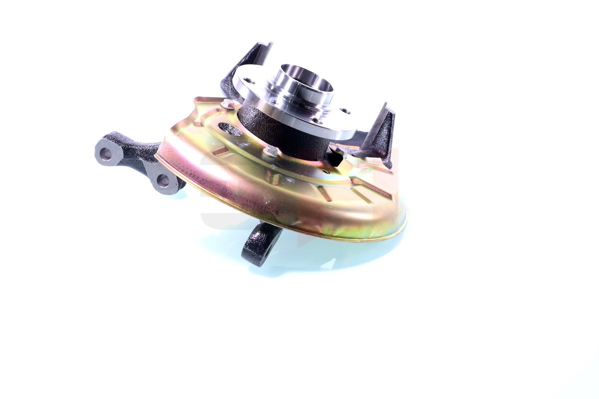 Steering Knuckle, wheel suspension Complete Steering Knuckle GH-289949H