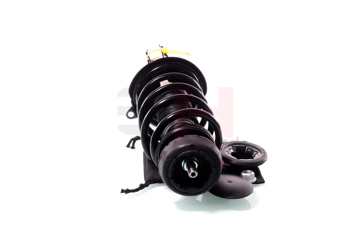 Suspension Strut Quick-Strut GH-359950C01
